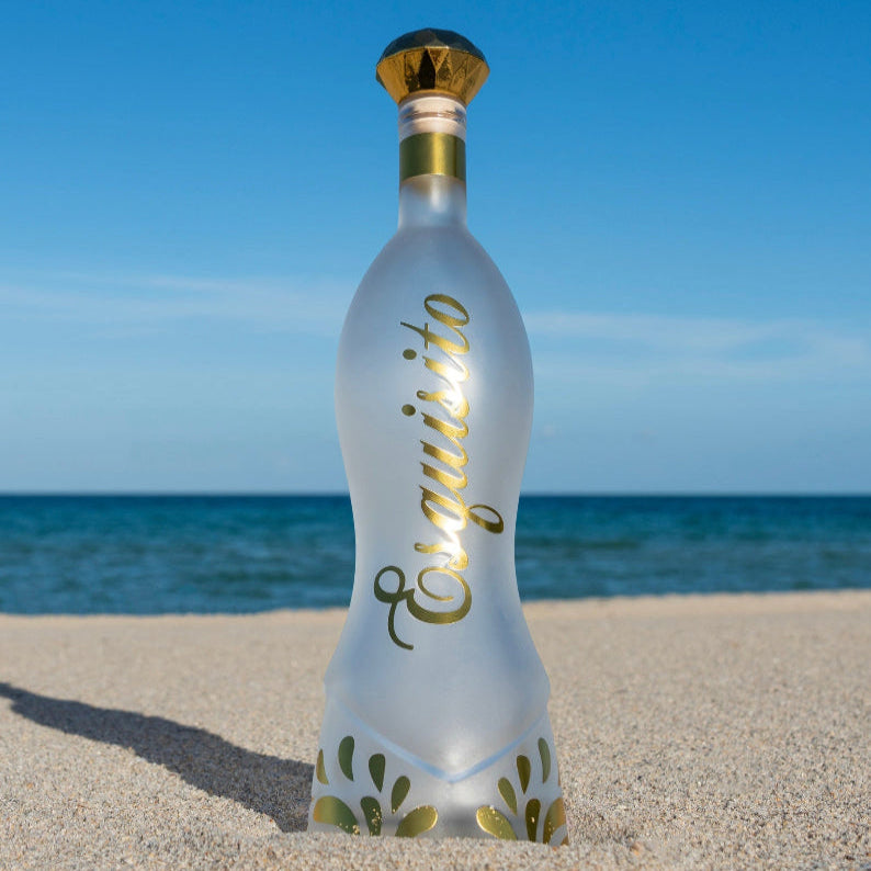 Esquisito Silver 70cl.